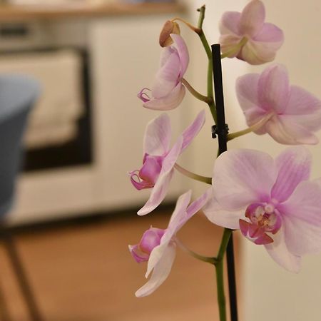 Apartament Ηλιόλουστο Ateny Zewnętrze zdjęcie